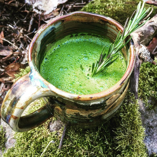 Spinach Bone Broth Latte Delight